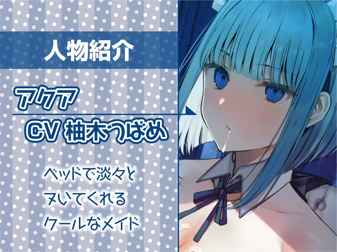 サンプル画像5:クールメイドさんは夜になるとベッドに来て仕事だから淡々とヌいてくれる【フォーリーサウンド】(テグラユウキ) [d_351157]