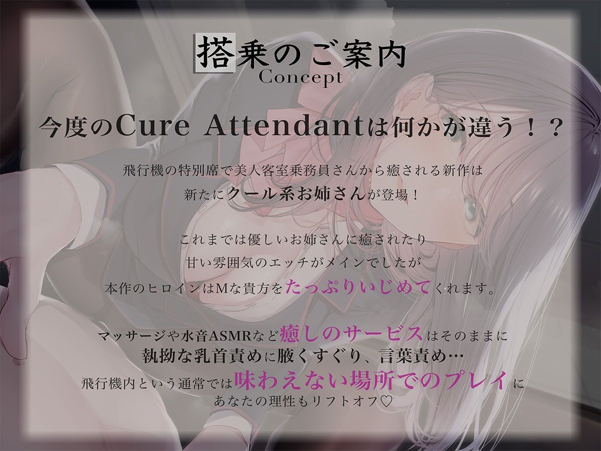 サンプル画像2:Cure Attendant〜クール系美人CAさんにマゾバレしてエッチに責められる極上の空の旅〜(ディーブルスト) [d_360073]