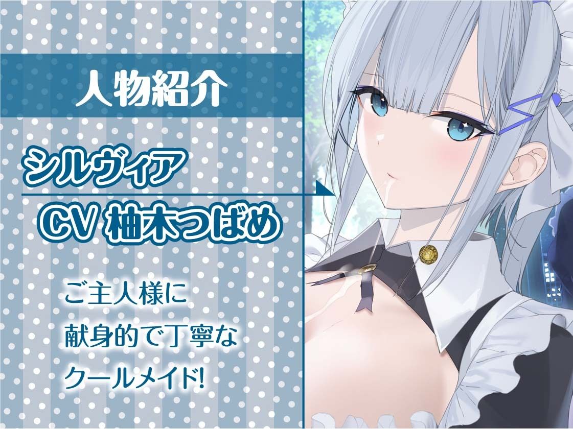 サンプル画像5:うちのクールメイドはいつでも抜いてくれる【フォーリーサウンド】(テグラユウキ) [d_364766]