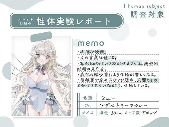 サンプル画像1:ナマイキ妖精の性体実験レポート(安心安全ボコボコ委員会) [d_367466]