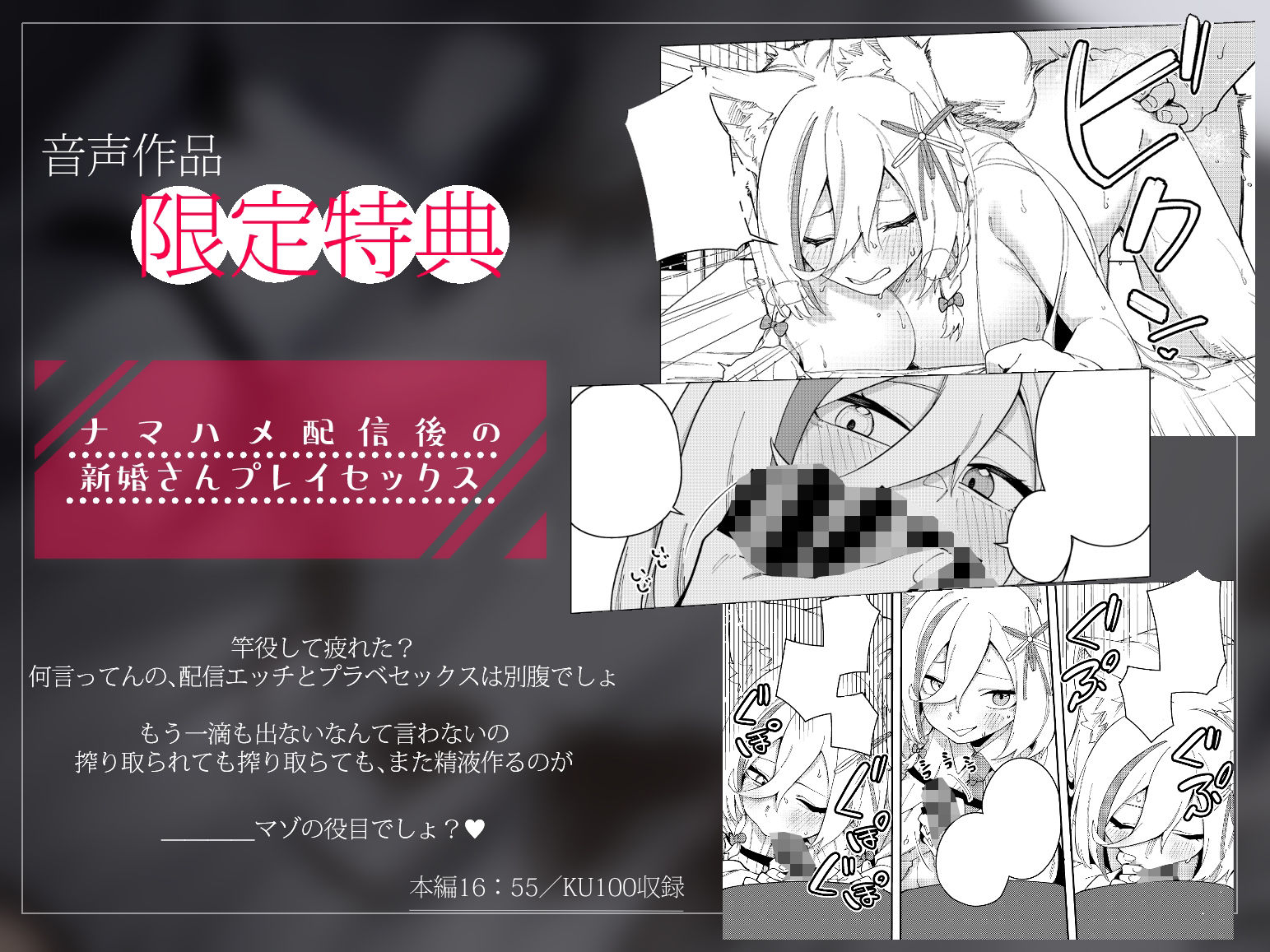 サンプル画像4:推し配信者はオレだけの専用まんこ。催●かけてエロ系配信者をいつでもどこまでハメまくる〜ろのみやひなぎくのばあい〜 音声ver(ひなぎく亭) [d_378941]