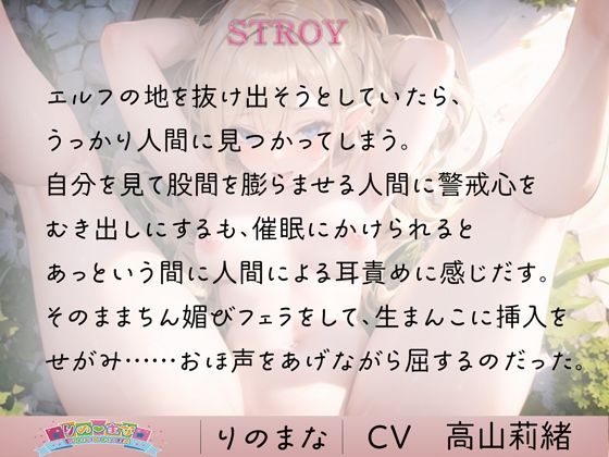 サンプル画像1:傲慢エルフは人間ちんぽの言いなり(rino) [d_394690]