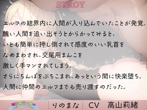 サンプル画像1:生意気エルフの分からせ凌●計画(rino) [d_394695]
