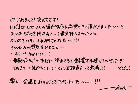 サンプル画像2:？実演収録？あめちの商品レビューがっちり使ってレポートします？(rudder one) [d_406032]