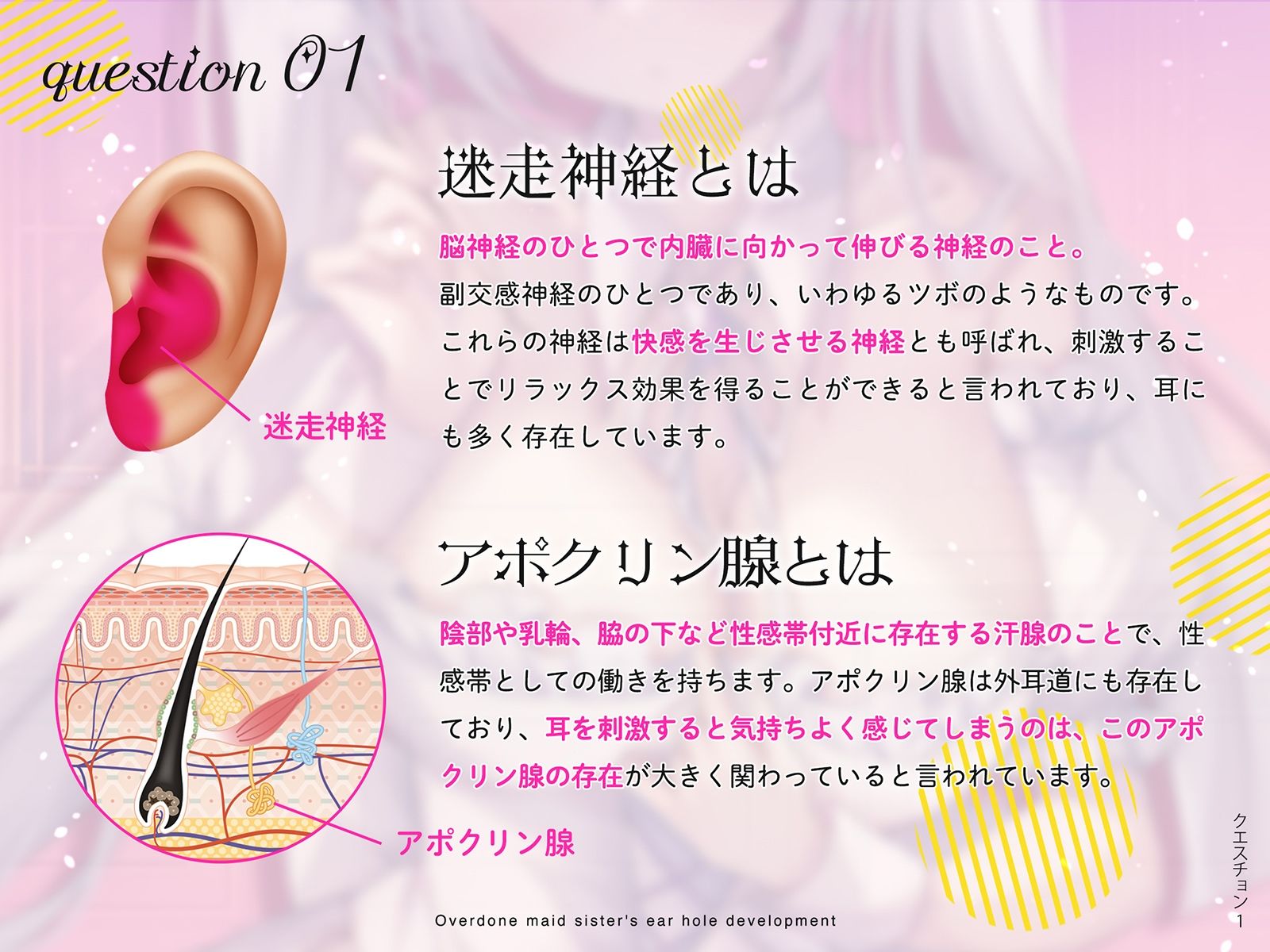 サンプル画像4:【更にもっと深く…】やりすぎメイドお姉さんの耳穴開発〜ミミラチオ・鼓膜舐め…迷走神経開発フルコース！！！〜(空心菜館) [d_423208]