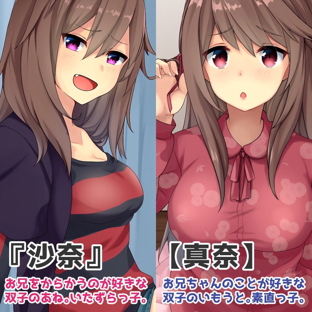 サンプル画像1:かわいい双子の妹にオナニーの見せあいっこや射精我慢を強要されちゃう音声(Sumikko Circle) [d_425891]