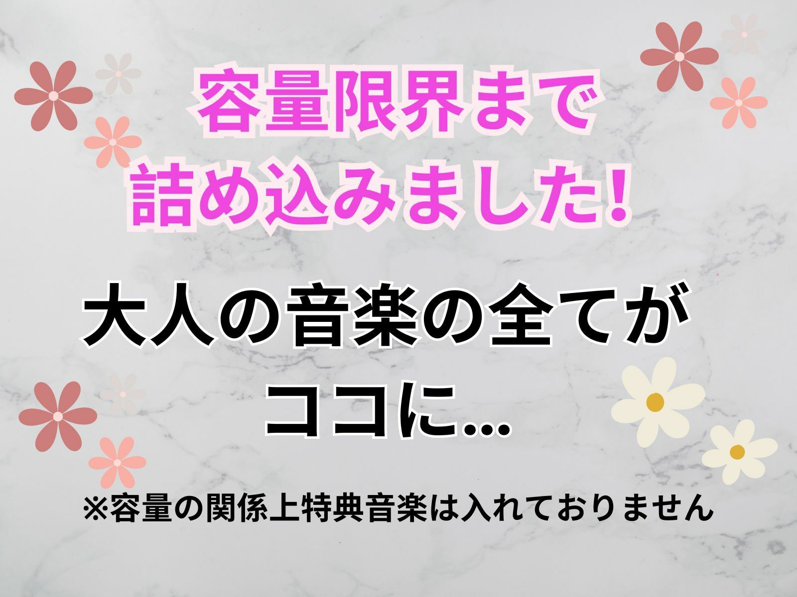 サンプル画像1:大人の音楽スペシャルセット！16時間を超える音楽(ヒメゴト) [d_431761]