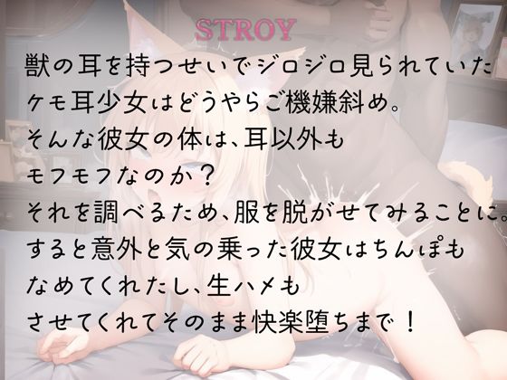 サンプル画像1:ケモミミ少女は生ハメおほ声で機嫌を直す(rino) [d_438779]