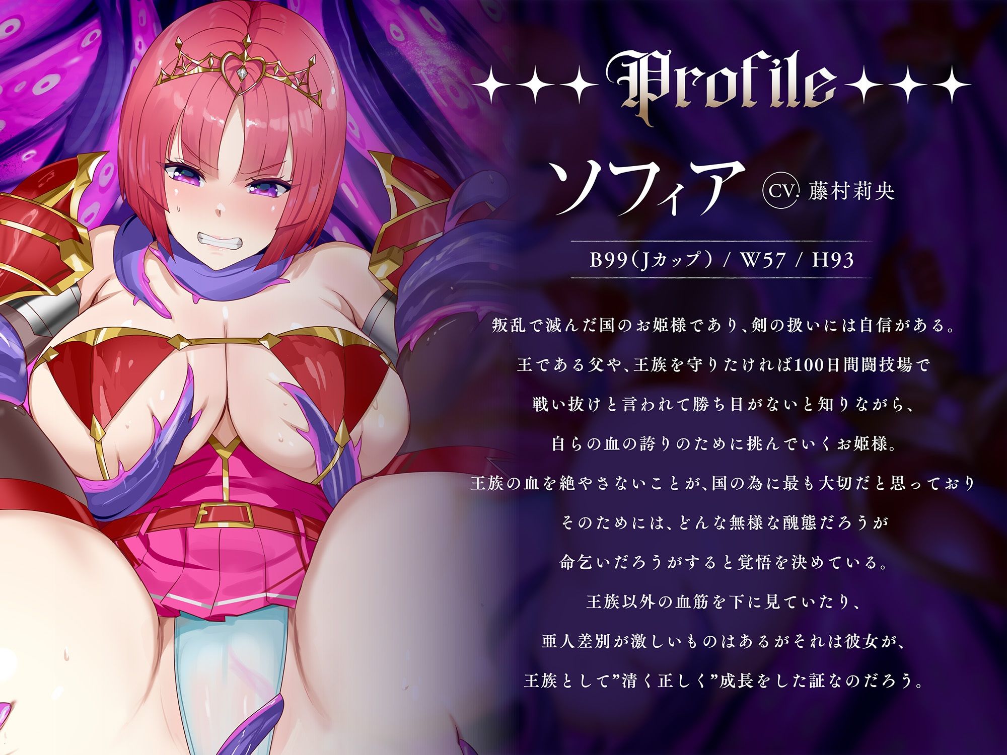 サンプル画像2:爆乳姫騎士ソフィアの受難-亡国の姫がコロセウムで堕ちるまで-(星雲倶楽部) [d_441953]