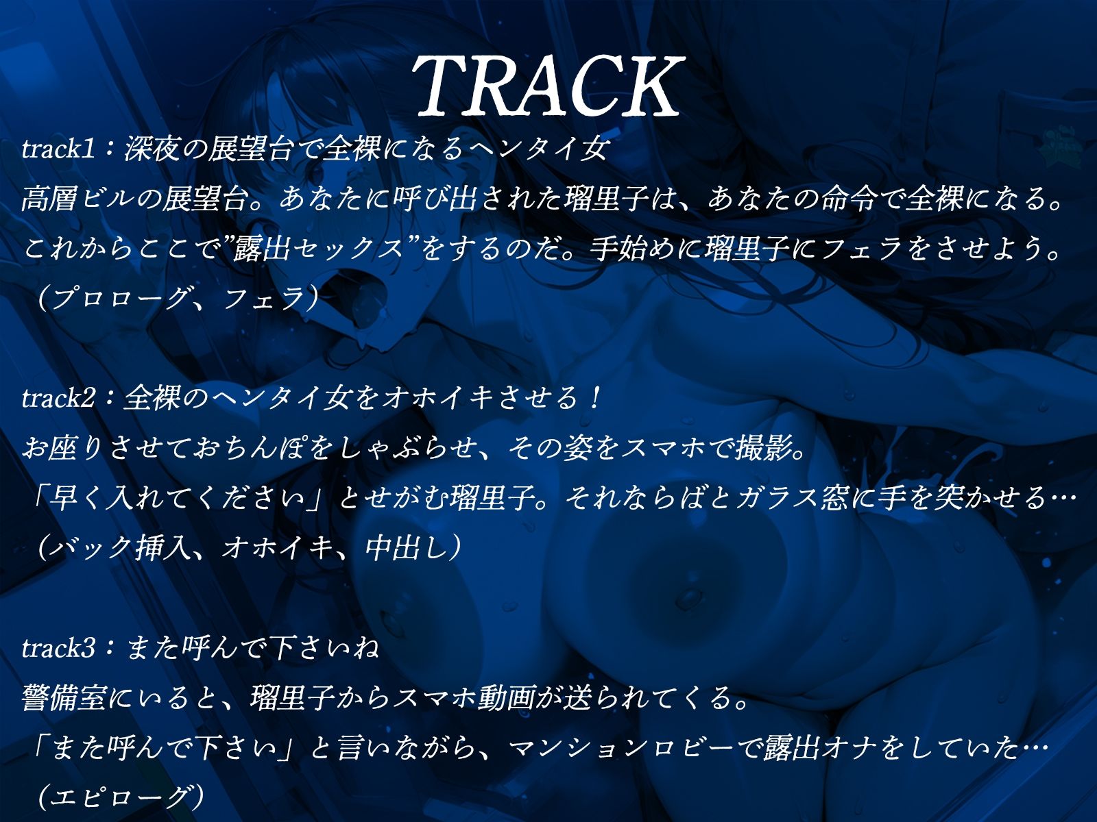 サンプル画像3:高層タワーでドM女を全裸にひん剥いて辱めセックス！(才色兼ビッチ) [d_458551]