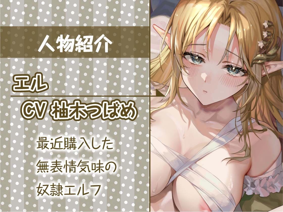 サンプル画像5:無表情な奴●エルフを甘やかして密着中出し交尾【フォーリーサウンド】(テグラユウキ) [d_459260]