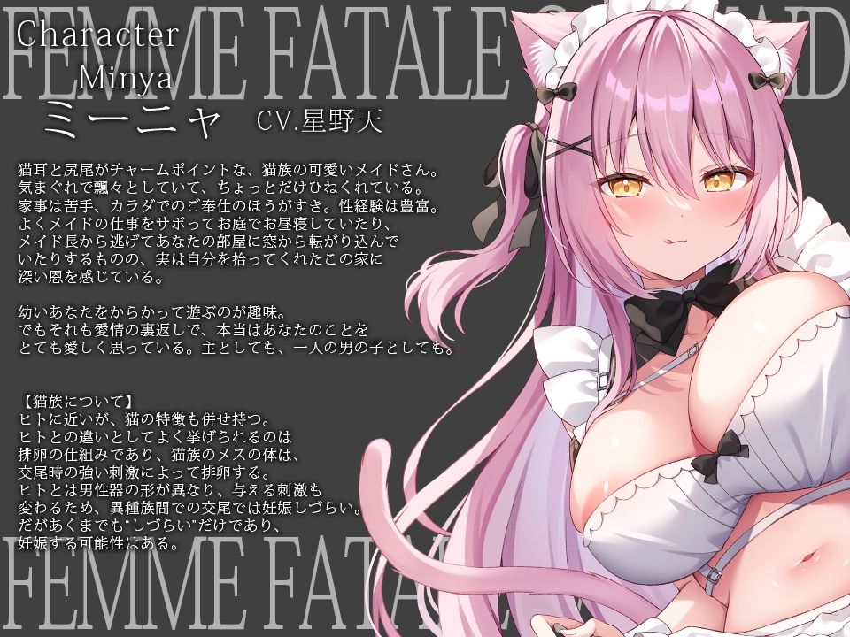 サンプル画像3:【だらあまおねショタ3時間超♪】小悪魔猫メイドさんとだらだらであまあまな筆おろしえっち〜悪戯から始まる、あなたより少しオトナなメイドさんとの秘密の関係〜(とろとろすたじお) [d_477604]