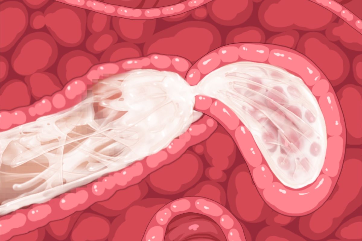 サンプル画像3:『即挿入！抜かずの膣締め専門店 SQUEEZE』-オホ声連続絶頂中出し音声- 連続中出し 耳舐め 囁き CV:御子柴泉(雷夢) [d_482040]