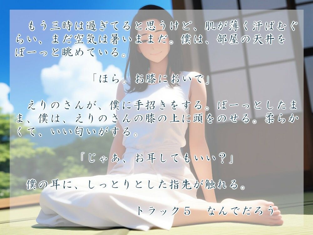 サンプル画像2:平成十五年の夏(近未来のふわふわ) [d_514478]