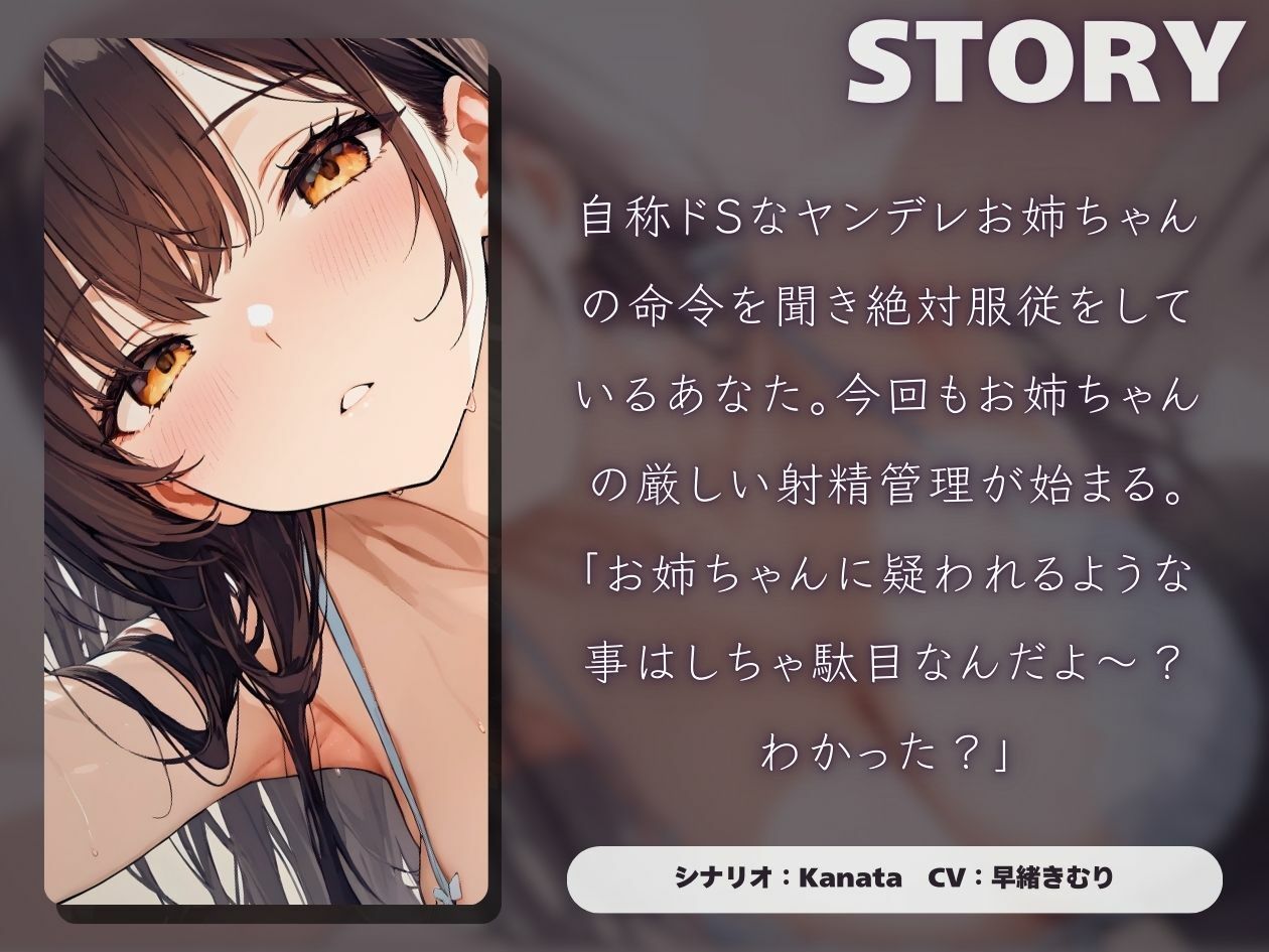 サンプル画像1:自称ドSなヤンデレお姉ちゃんの射精管理が甘々過ぎる件【KU100】(いたずらえっち 〜性癖よ恍惚なれ〜) [d_515693]