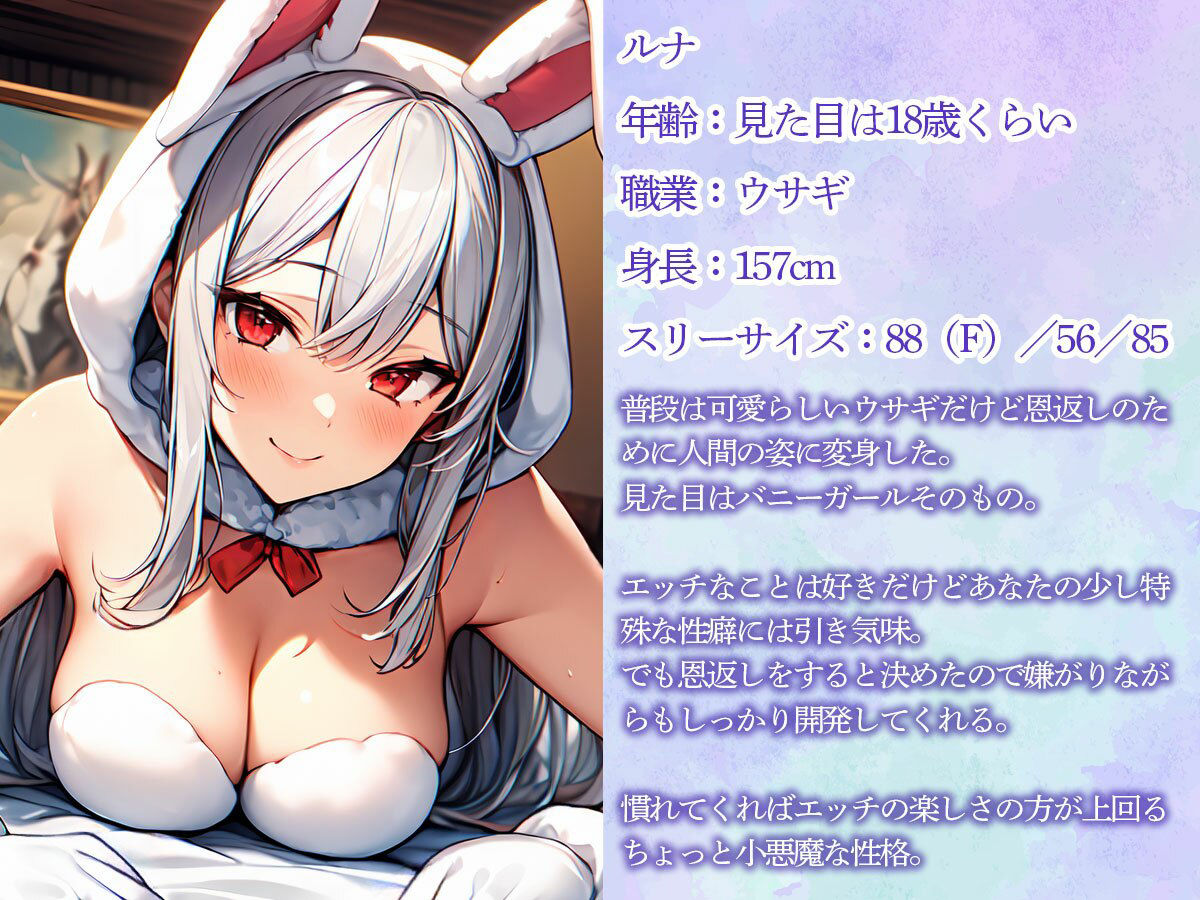 サンプル画像1:ウサギの恩返し…こしょこしょしながら前立腺調教するバニーガール(またたび) [d_518611]