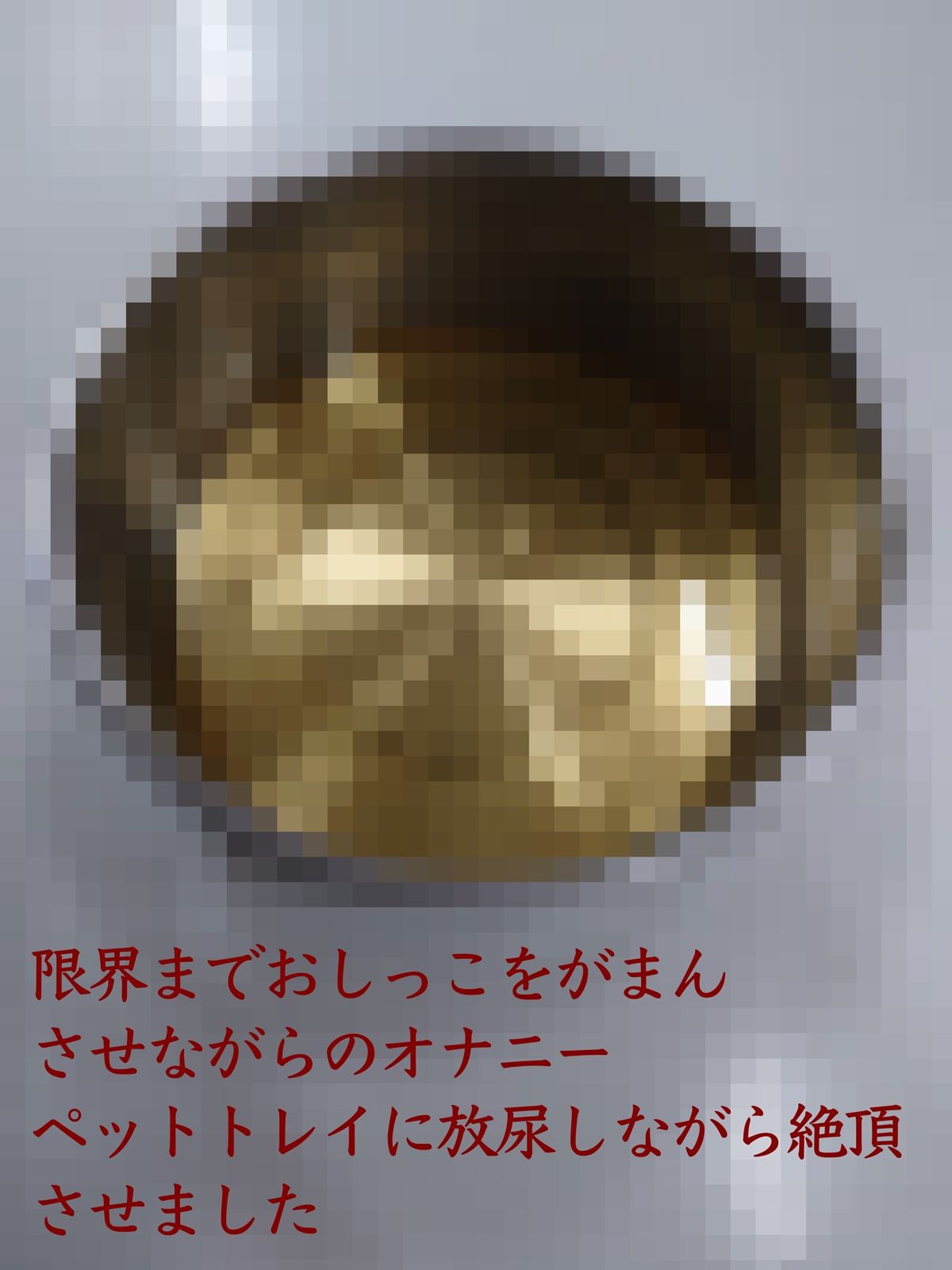 サンプル画像2:全裸四つん這いでペットトレイから舌だけを使って水飲み〜ペットトレイに放尿しながら絶頂オナニー（レナの調教記録〜002）(M女レナの調教記録) [d_521573]