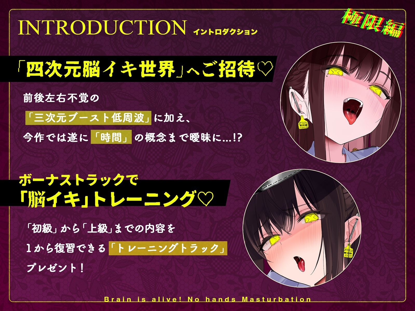 サンプル画像2:【初心者購入禁止】誰でも出来る！決定版「はじめての」脳イキ！ノーハンドオナニー極限編(空心菜館) [d_523917]