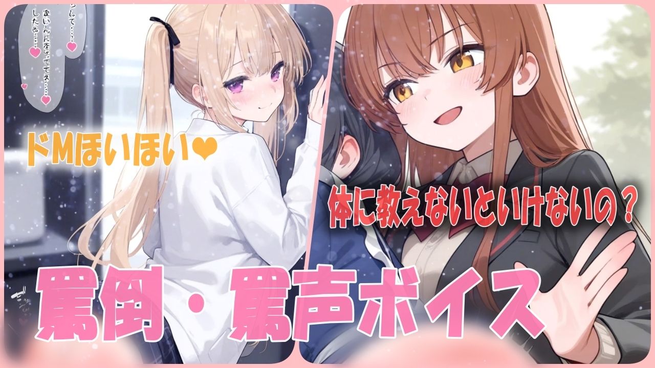 サンプル画像1:【罵倒・罵声ボイス】ドM参照？女の子からひたすらに暴言と鞭打ちされる(あい  SMサークル) [d_540979]