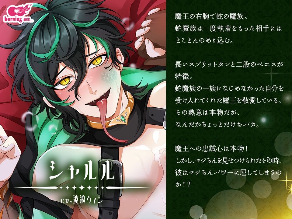 マジちん勇者〜俺は勇者の嫁になる！〜の画像3