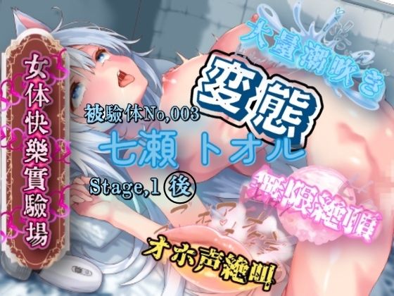 『女体快楽実験場』 被験体No，003 「七瀬 トオル」Stage，1 後編の商品画像