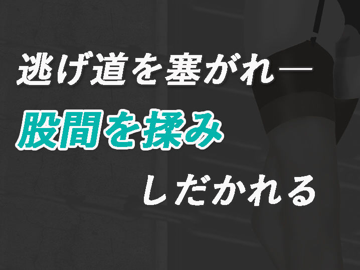 加賀美レイナに堕ちた童貞マゾの回顧録02-彼女の前でお漏らし射精-のサンプル画像 6