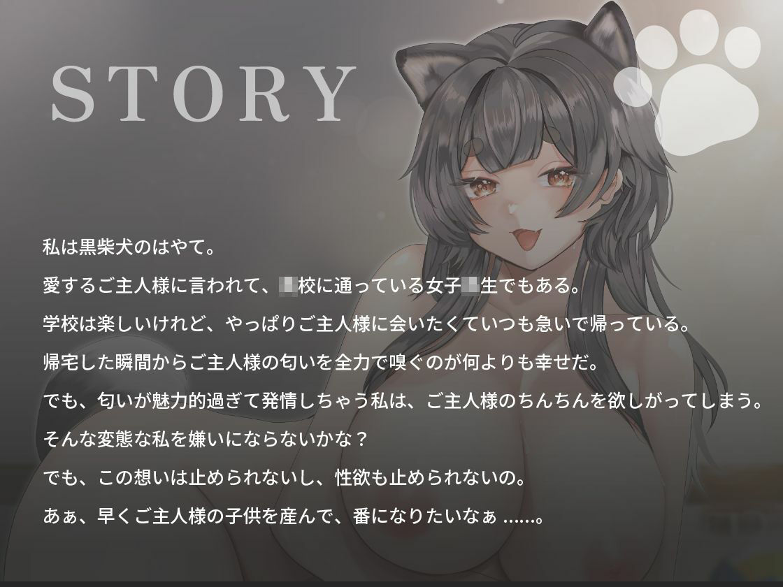 クール系黒柴犬JKはご主人様とあまあま孕ませ交尾をしたい【けもみみ/巨乳/中出し】 (dvoice jp-001)