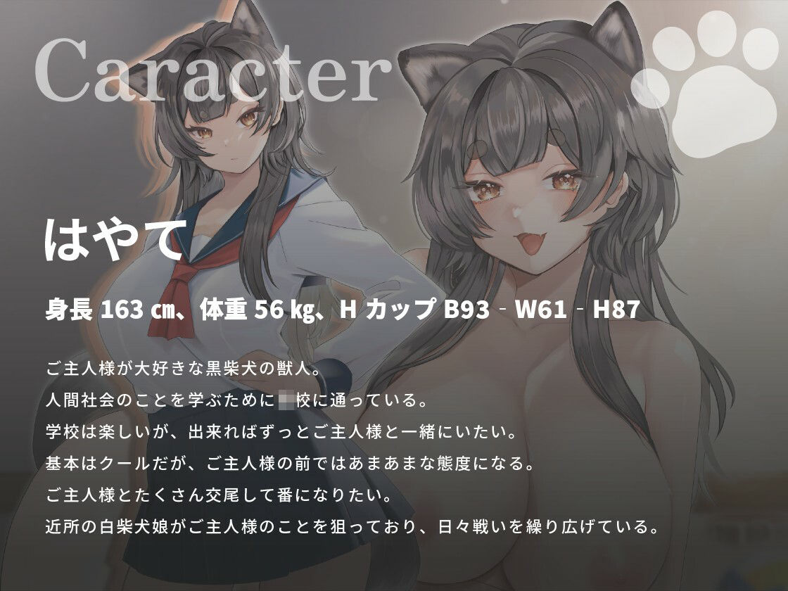 クール系黒柴犬JKはご主人様とあまあま孕ませ交尾をしたい【けもみみ/巨乳/中出し】 (dvoice jp-002)