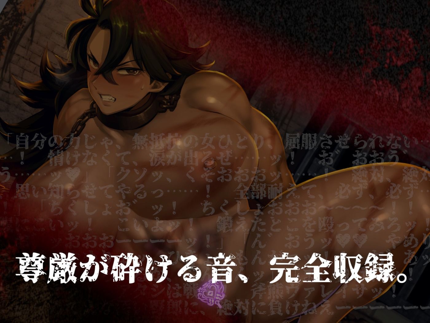 牝畜敗隷ヴァレイサ【しつけ用オホ声ガイダンス付属】 (dvoice jp-003)