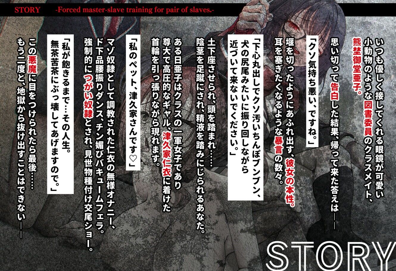 つがい奴●強●主従調教。メガネが可愛い図書委員の本性は、悪魔みたいな女子でした―― (dvoice jp-004)