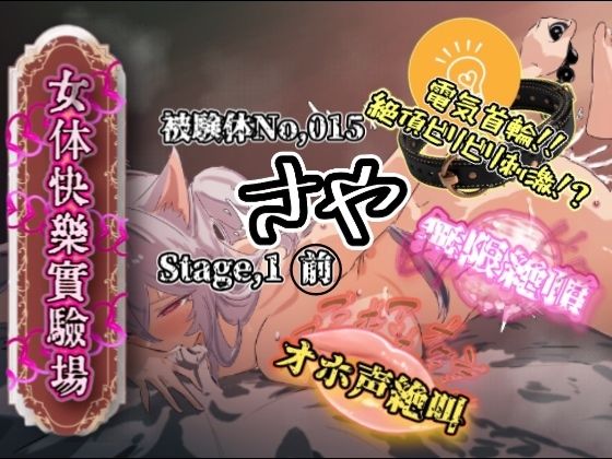 『女体快楽実験場』 被験体No，015「さや」Stage，1前編の商品画像