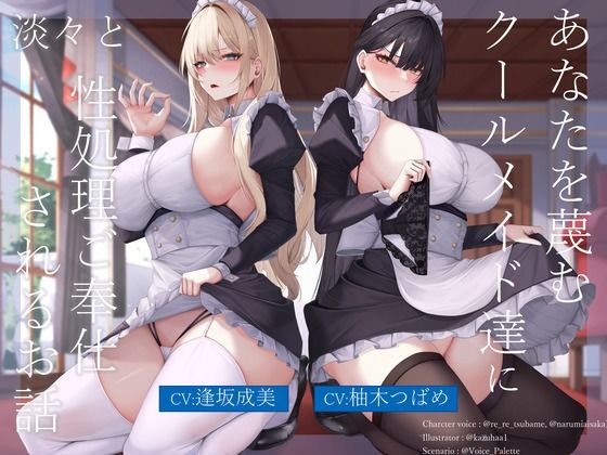 《d_772904》あなたを蔑むクールメイド達に淡々と性処理ご奉仕されるお話のパッケージ画像