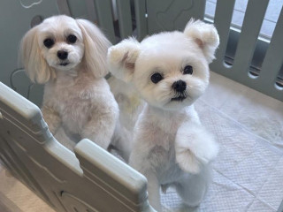 *◆◇さき◇◆*