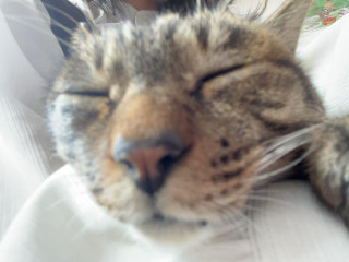 じゅん(*･ω･)