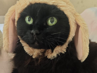 *+☆はづき ☆+*