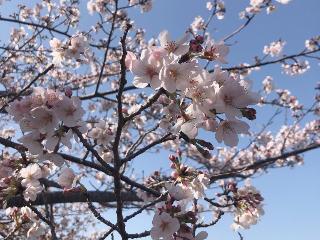 ＊姫乃えりか＊