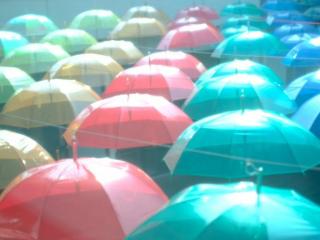 くるみ(・ω・)ノ