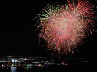 くるみ(・ω・)ノ