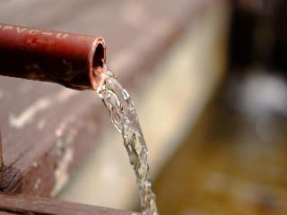 くるみ(・ω・)ノ