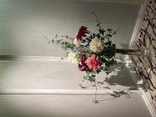 FANZA/おちゃ/kirarin＊.