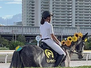 あやね▼・ω・▼