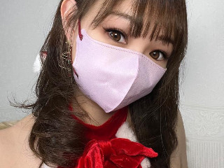 *♪。はる。♪*