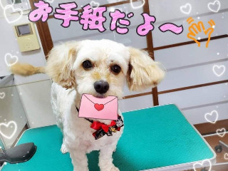 *♪あむ♪*