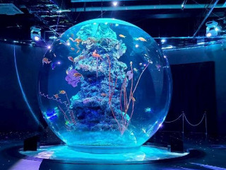 ゆき☆りぃ☆白雪