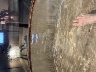 ももちゃん★。