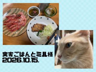 天川てんり