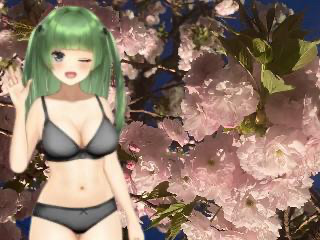 緑間ちーにゃん