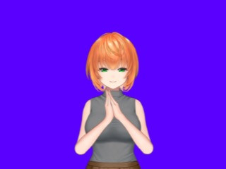 FANZA/バーチャル/るん姐