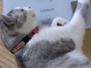 るのあ