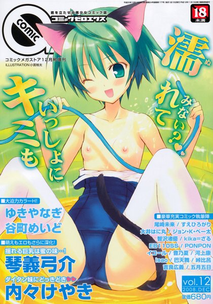 コミック ゼロエクス Vol.12の表紙